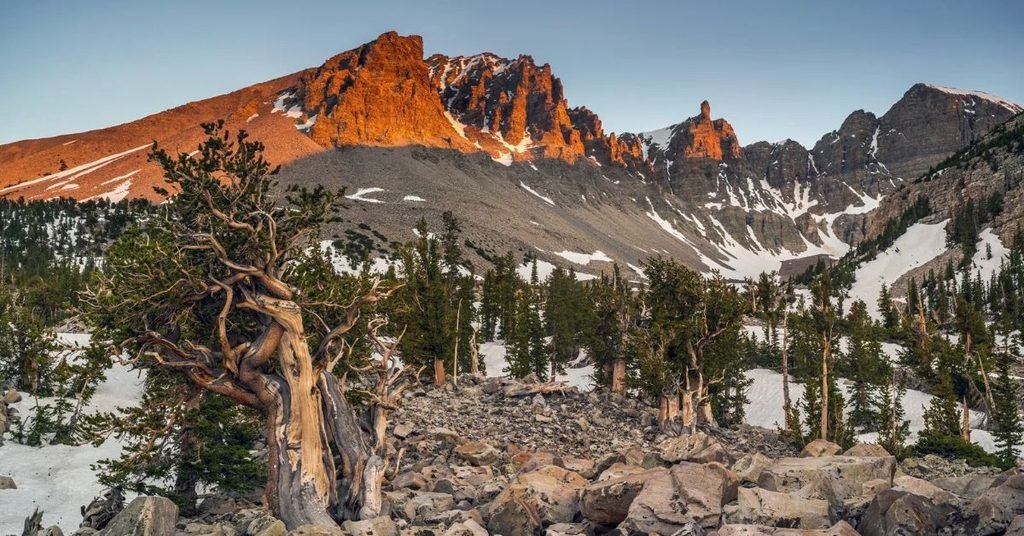 Great Basin National Park, Nevada