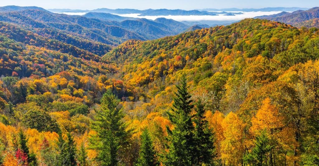 Great Smoky Mountains National Park